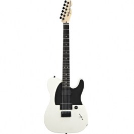 JIM ROOT TELECASTER